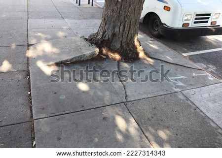 1201 Ocean Ave, San Francisco, CA 94112 USA 
November 16, 2022
Uneven and damaged pavement, sidewalk because of tree roots. Sidewalk Damage by tree roots near McDonald's. Royalty-Free Stock Photo #2227314343