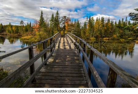 Wooden bridge over the autumn river lake. River bridge in autumn forest Royalty-Free Stock Photo #2227334525