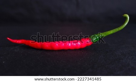 One Red Chili Fruit on a black background. Suitable for needs related to fresh red chilies. Photo of red pepper with text space on the top and bottom. Can be used for all good needs. Isolated image.