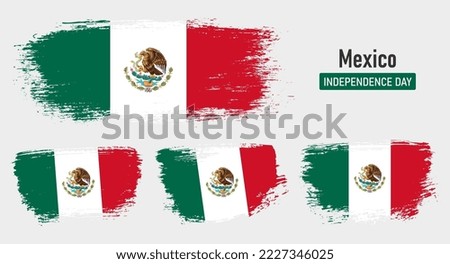 Textured collection national flag of Mexico on painted brush stroke effect with white background