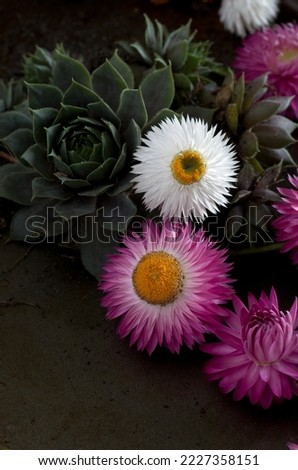 Macro Image of Various Dried White and Purple Flowers Vertical
