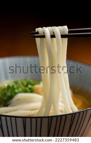 Japanese noodle dish KAKE-UDON. Udon noodles in a hot soup.