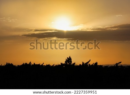The sun peaking behind the clouds at sunset above a vineyard.
