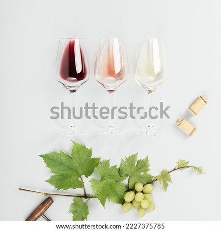 Flat-lay of red, rose and white wine in glasses on white background. Branch of grape vine, corkscrew, corks. Wine bar, winery, wine degustation concept. Minimalistic trendy photography
