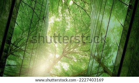 Sustainble green building. Eco-friendly building. Sustainable glass office building with tree for reducing carbon dioxide. Office with green environment. Corporate building reduce CO2. Safety glass. Royalty-Free Stock Photo #2227403169