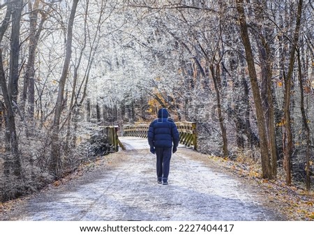 Man walking in wooded park after ice storm; frost and ice cover  trees on both sides and wooden bridge in foreground