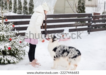 Girl playing with Australian Shepherd dog in a winter garden. Christmas tree outdoors