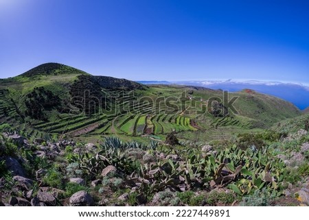 Natural landscape on the Teno Alto plateau. Tenerife. Canary Islands. Spain. Royalty-Free Stock Photo #2227449891