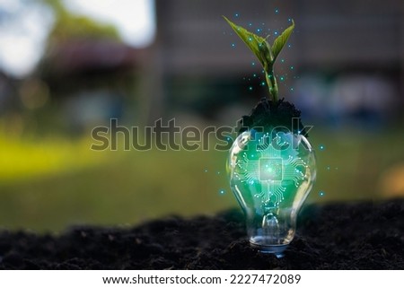 A small tree grows on the floor with energy-saving light bulbs in a green natural environment environment, renewable energy concepts and environmental stewardship. Royalty-Free Stock Photo #2227472089