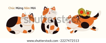 2023 Lunar New Year Tet cute cartoon cats collection, rice cakes, gold, Vietnamese text Happy New Year. Flat style vector illustration. Domestic animal, pet, isolated on white. Design element, clipart