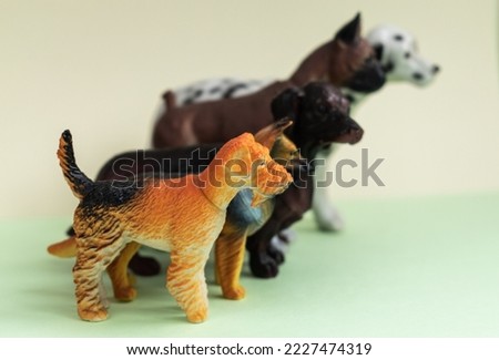 Dogs.  dogs on mint background with place for text.  animal protection.  domestic animals.