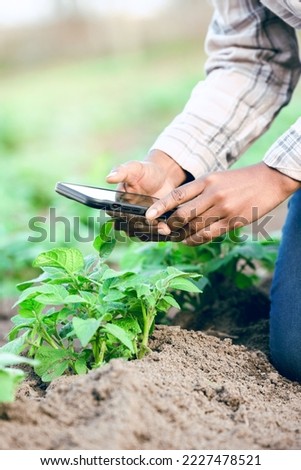 Farm, phone and take picture of plants, social media and connect outdoor. Agriculture, smartphone and male farmer catalog vegetables, produce and plantation for health, wellness or quality control