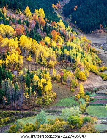 Autumn colors in Savsat Town of Turkey