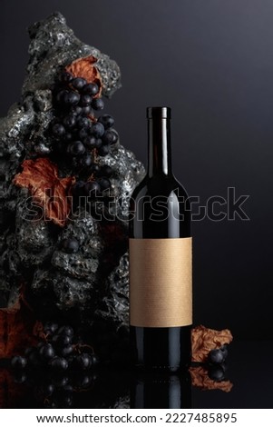 Bottle of red wine with empty label. In the background rough grey stone and blue grapes. 