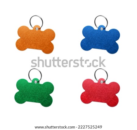 Set with multicolor bone shaped dog tags on white background