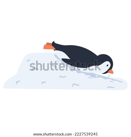 penguin Sliding Off Snow Hill
