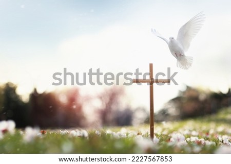 Cross symbolizing the death and resurrection of Jesus Christ, spring flowers, falling petals, bright sunlight, and doves
 Royalty-Free Stock Photo #2227567853