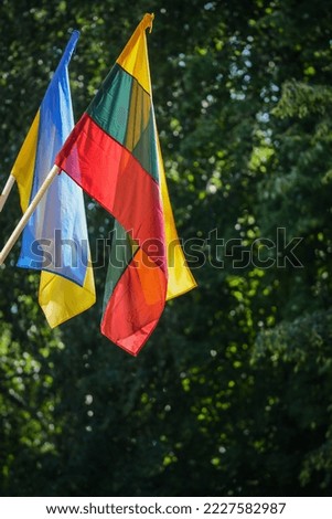 Ukrainian and Lithuanian flags on the wall, green background