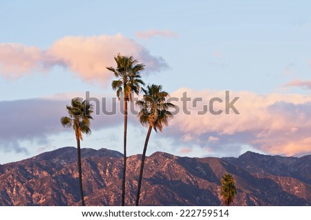 Palm trees, sunset clouds, nature background. Photo taken looking north from Pasadena, California, showing the San Gabriel Mountains in the background. Royalty-Free Stock Photo #222759514