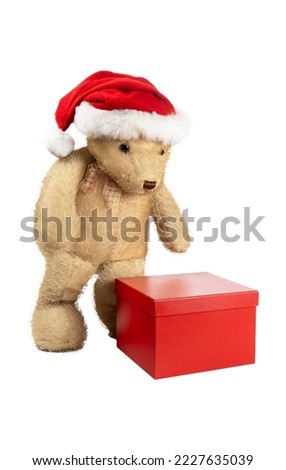 teddy bear standing next to a gift package isolated on white background