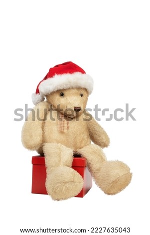 teddy bear sitting on a gift package isolated on white background