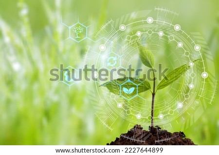 Blurred greenery background, Nature sustainable energy and AI technology icon.