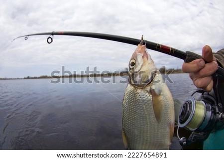 An enviable trophy of a fisherman with a fishing rod in a European river. Caspian bream (Abramis brama orientalis). The fisheye lens is used