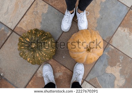 hands of old male farmer raises above his head large pumpkin on garden bed harvesting concept mexico latino america