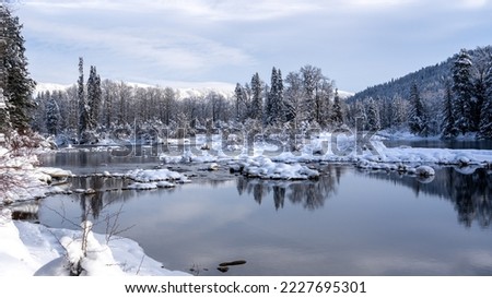 Snow-Covered Rocks and Trees at Still Lake in Winter