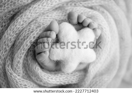 Knitted star in the legs of a baby. Soft feet of a new born in a wool blanket. Close-up of toes, heels and feet of a newborn. Macro black and white photography the tiny foot of a newborn baby. 