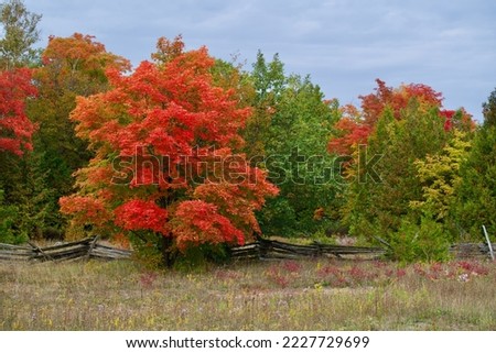 Beautiful Autumn Leaves on the Manitoulin Island, Ontario, Canada
