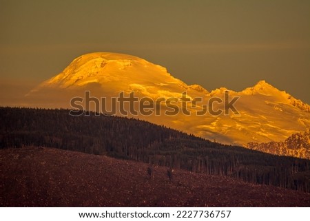 Mount Baker with recent autumn snow photographed in golden hour light from Samish Flats, Skagit County, Washington. A portion of the hillside in front of the mountain has been clearcut. 