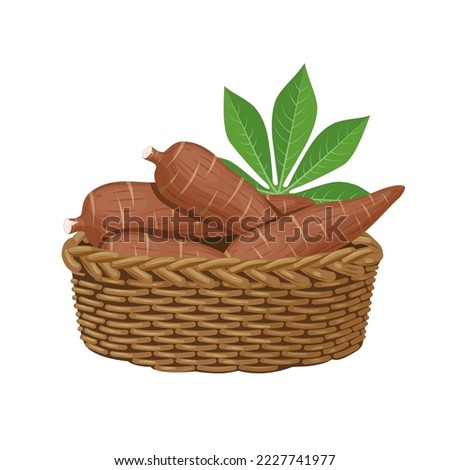 Vector illustration, cassava root or Manihot esculenta in a basket, also known as manioc, isolated on white background, as banner, poster or template for national tapioca day. Royalty-Free Stock Photo #2227741977