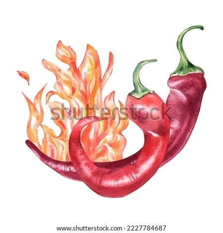 Red chili hot peppers on fire watercolor illustration isolated on white background.