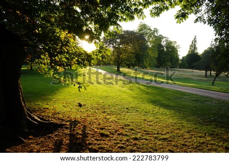 Sunset in Hyde Park Royalty-Free Stock Photo #222783799