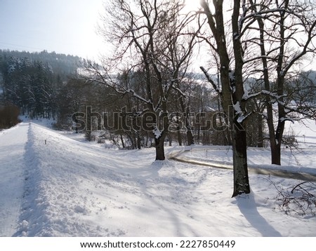 Fresh white blanket and winter atmosphere for Valentine's Day around the resort with artificial lake Gübsensee (or Guebsensee) - Canton of St. Gallen, Switzerland (Schweiz)