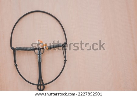 Top view of trap on the wooden background, rat and animal trap, fake dangerous and network business related concept, copy space for text and design