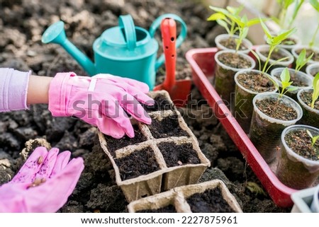 Close-up of girl  farmer hands planting seeds for her hobby garden. Activities for growing plants with children concept. Kids learning gardening outdoors. Royalty-Free Stock Photo #2227875961