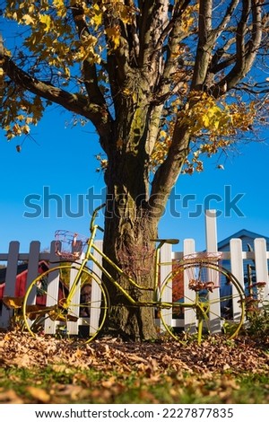 A vintage yellow bicycle rests on the trunk of a tree that is showing its autumn foliage with a white picket fence in the background during a cloudless fall day. 