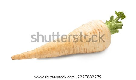 parsley root isolated on white. the entire image in sharpness. Royalty-Free Stock Photo #2227882279