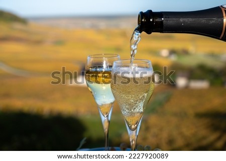 Tasting of french sparkling white wine with bubbles champagne on outdoor terrace with view on colorful grand cru Champagne vineyards in village Cramant in October, near Epernay, France Royalty-Free Stock Photo #2227920089