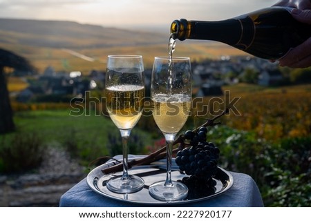 Tasting of premier cru sparkling white wine with bubbles champagne on outdoor terrace with view on colorful pinot meunier vineyards in Hautvillers in October, near Epernay, France. Royalty-Free Stock Photo #2227920177