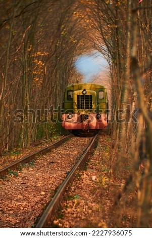 Old train in tunnel with leaves. Vertical photo. Can be used as a background.