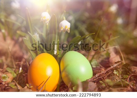 easter eggs in spring time