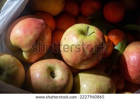 Fresh red and green apples with mandarins in background. Plastic white bag with fresh fruits. Harvest concept. Close up background picture. Biological healthy dieting. Pink lady