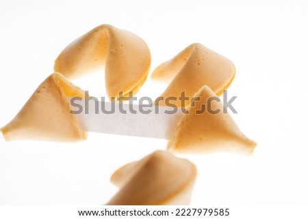 Fortune cookies with white blank paper. Isolated