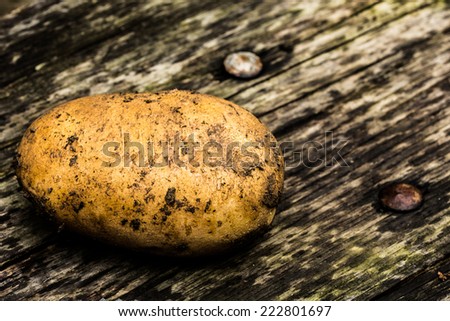 Potato on a rustic wooden bench 
