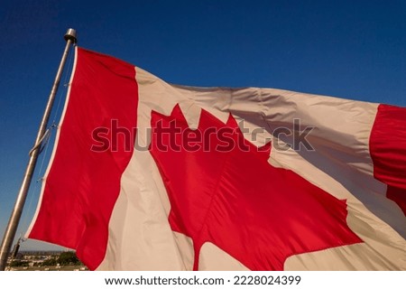 Canadian flag flying at summer blue sky. Canadian flag waving on the wind, unfiltered and natural lighting. North America, Canada.