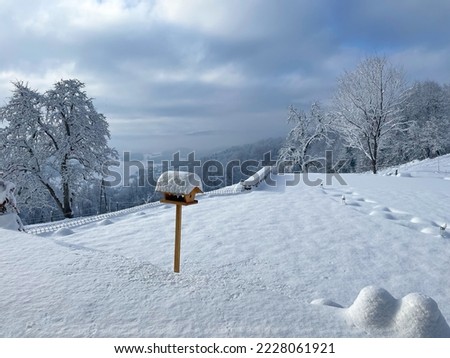 Snowy garden with wooden bird feeder covered with blanket of freshly fallen snow. Garden feature for food supply, shelter and birdwatching in the backyard. Caring for birds in cold winter season. Royalty-Free Stock Photo #2228061921