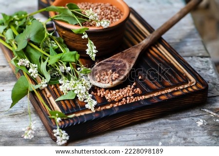 Buckwheat flowers. The seed of healthy cereals in the village kitchen. Dry Tartary buckwheat groats in a wooden spoon next to a bouquet of Fagopyrum blossoms Royalty-Free Stock Photo #2228098189